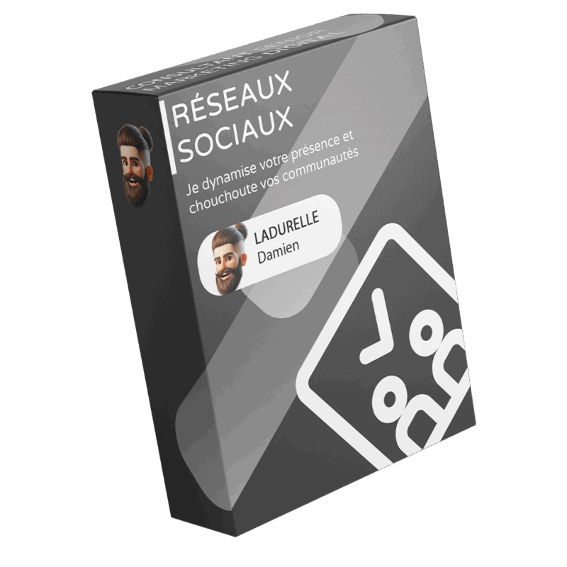 Gestion des réseaux sociaux - LADURELLE Damien - Consultant marketing - Produit